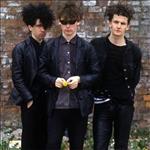 Photo of the Artist The Jesus And Mary Chain